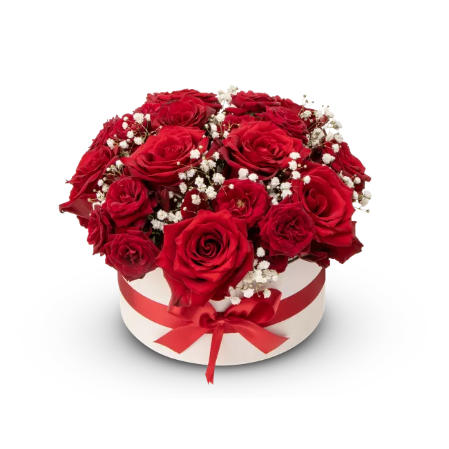 Box červených růží